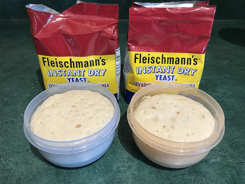 Old yeast compared with new yeast