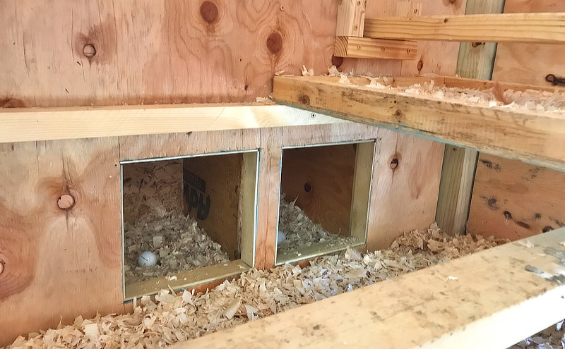 access holes to nesting box