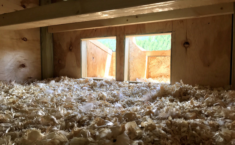 Time To Open The Chicken Coop Nesting Box For Business…