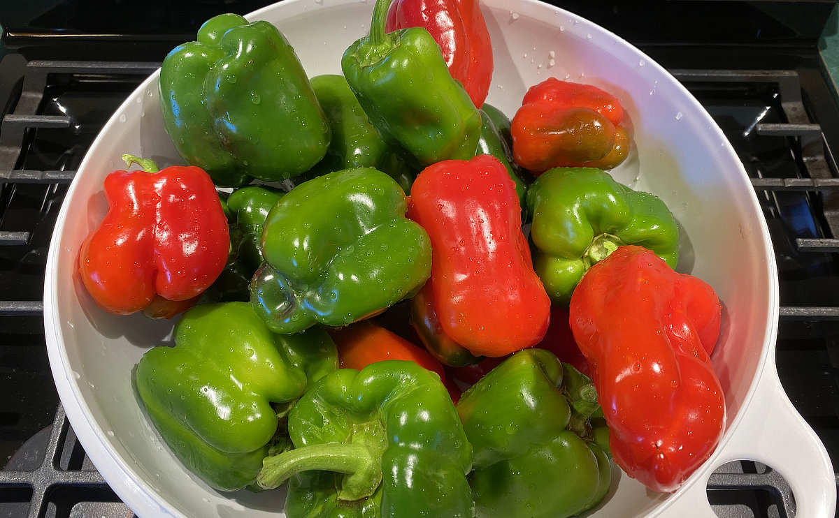 Brandywine Tomatoes, Jalapeno’s, and New Ace Bell Pepper Bumper Crop