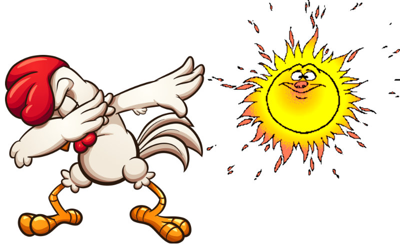 Hot Chickens – How To Keep Them Cool