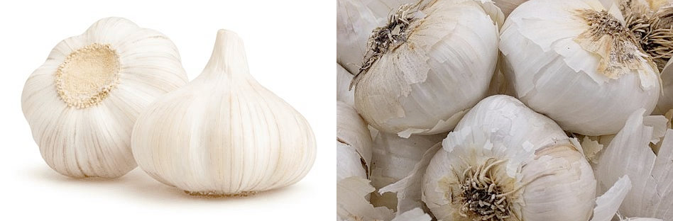 Difference between Chinese garlic and American garlic