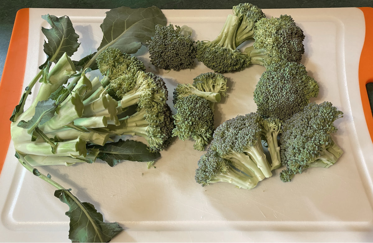 broccoli on a cutting board