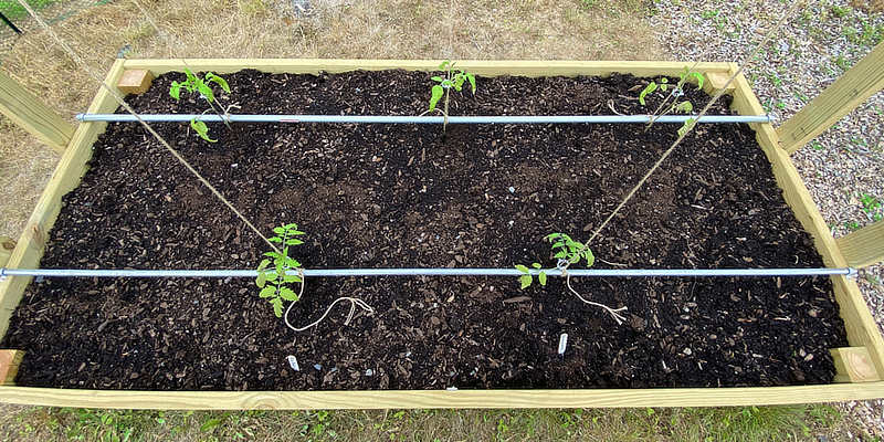Tomato Clip Support System For Raised Garden Bed