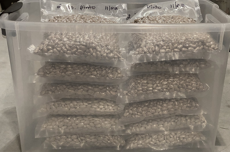 vacuum sealed dry beans