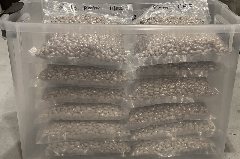 Vacuum Seal Rice and Beans For Long Term Storage