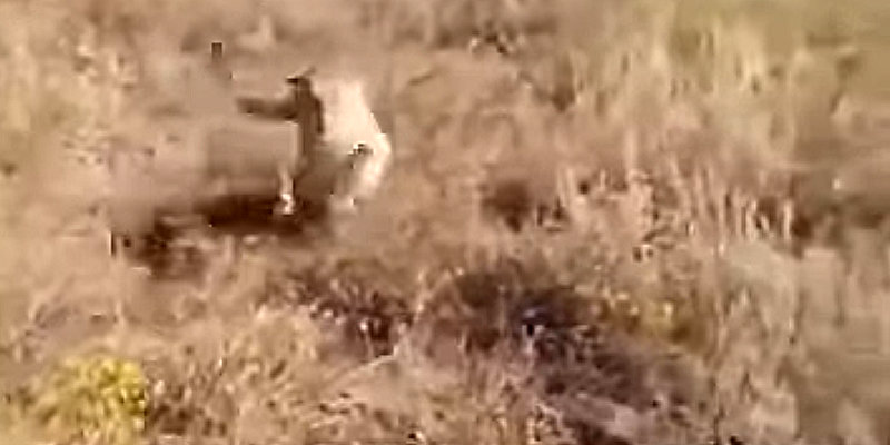 Intense Encounter Mountain Lion Attack – Elk Hunter Being Stalked