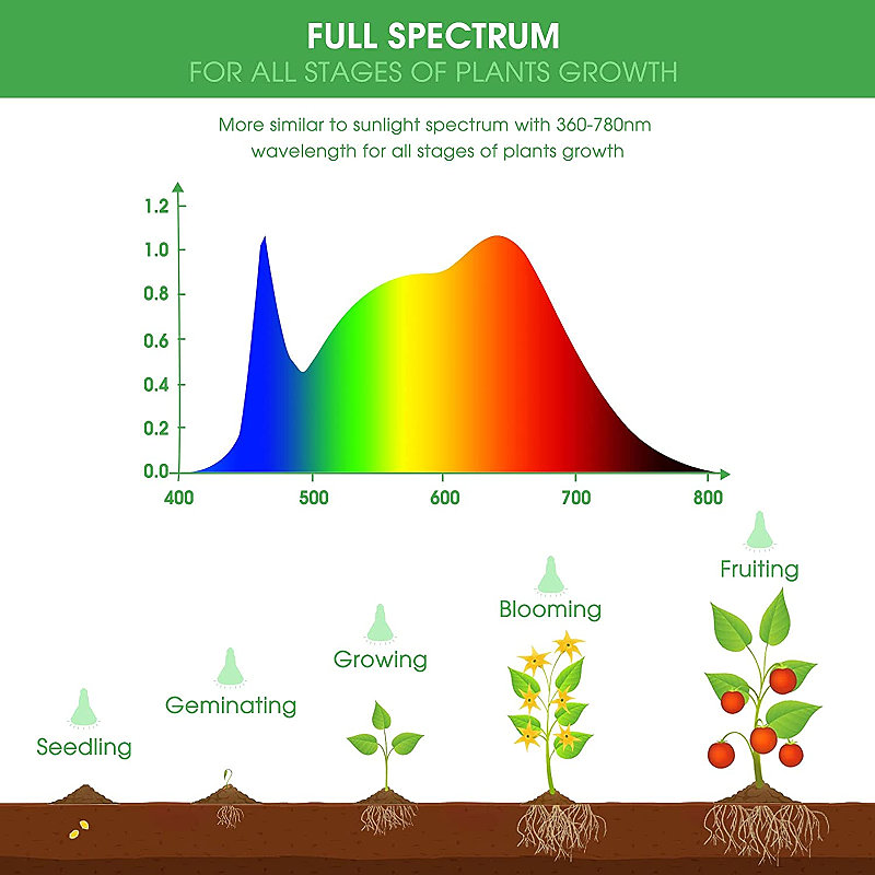 Wavelength Graph Example of Grow Light Full Spectrum