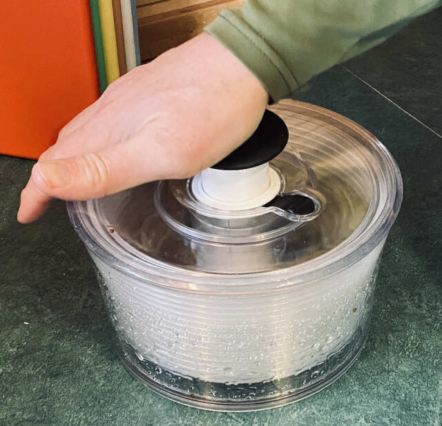 Salad spinner to dry sprouts