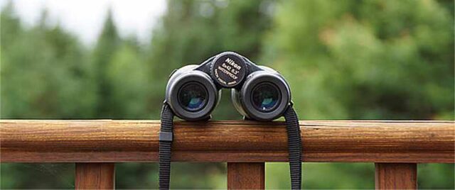 Most popular uses for binoculars