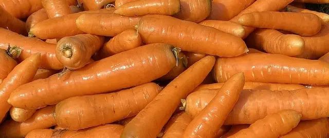 carrots freshly pulled from the garden