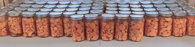 canning jars of carrots from the garden